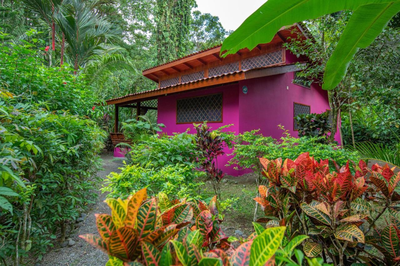 Villa Pina Dorada Dependencia Del Hotel Casa Merlin Puerto Viejo de Talamanca المظهر الخارجي الصورة