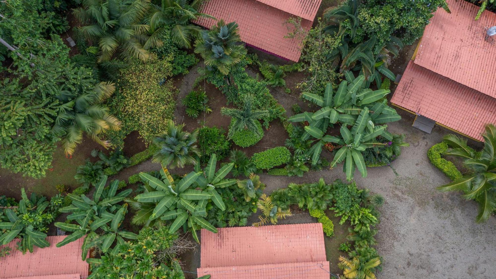 Villa Pina Dorada Dependencia Del Hotel Casa Merlin Puerto Viejo de Talamanca المظهر الخارجي الصورة