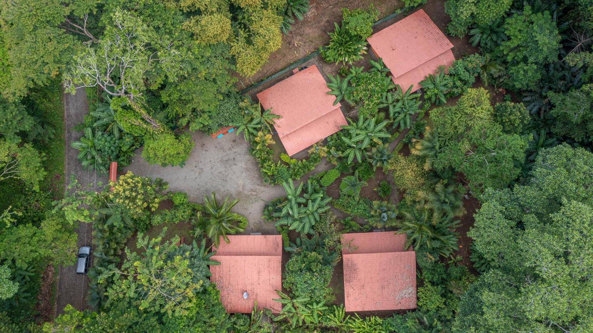 Villa Pina Dorada Dependencia Del Hotel Casa Merlin Puerto Viejo de Talamanca المظهر الخارجي الصورة