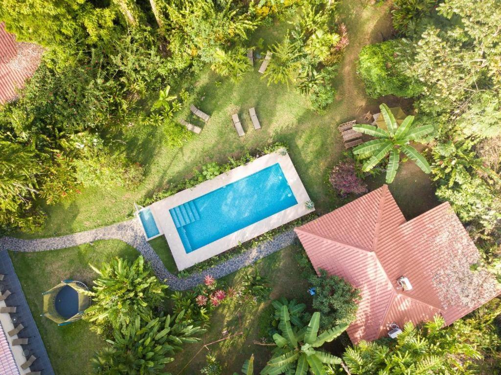 Villa Pina Dorada Dependencia Del Hotel Casa Merlin Puerto Viejo de Talamanca المظهر الخارجي الصورة