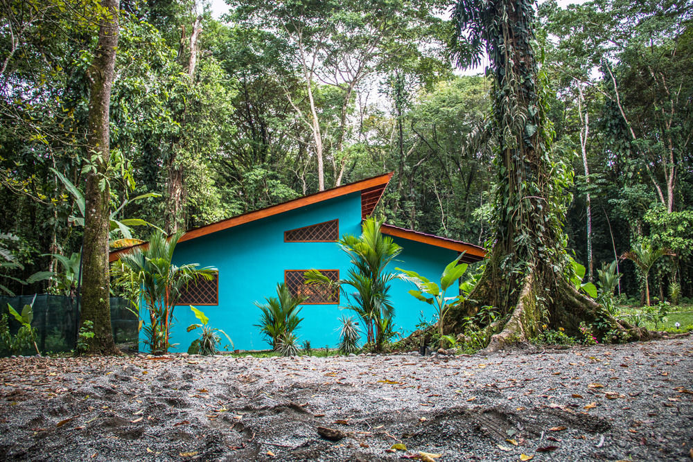 Villa Pina Dorada Dependencia Del Hotel Casa Merlin Puerto Viejo de Talamanca المظهر الخارجي الصورة