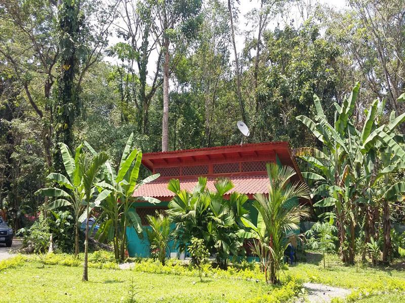Villa Pina Dorada Dependencia Del Hotel Casa Merlin Puerto Viejo de Talamanca المظهر الخارجي الصورة