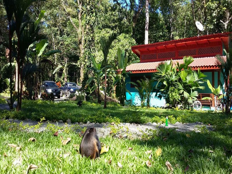 Villa Pina Dorada Dependencia Del Hotel Casa Merlin Puerto Viejo de Talamanca المظهر الخارجي الصورة