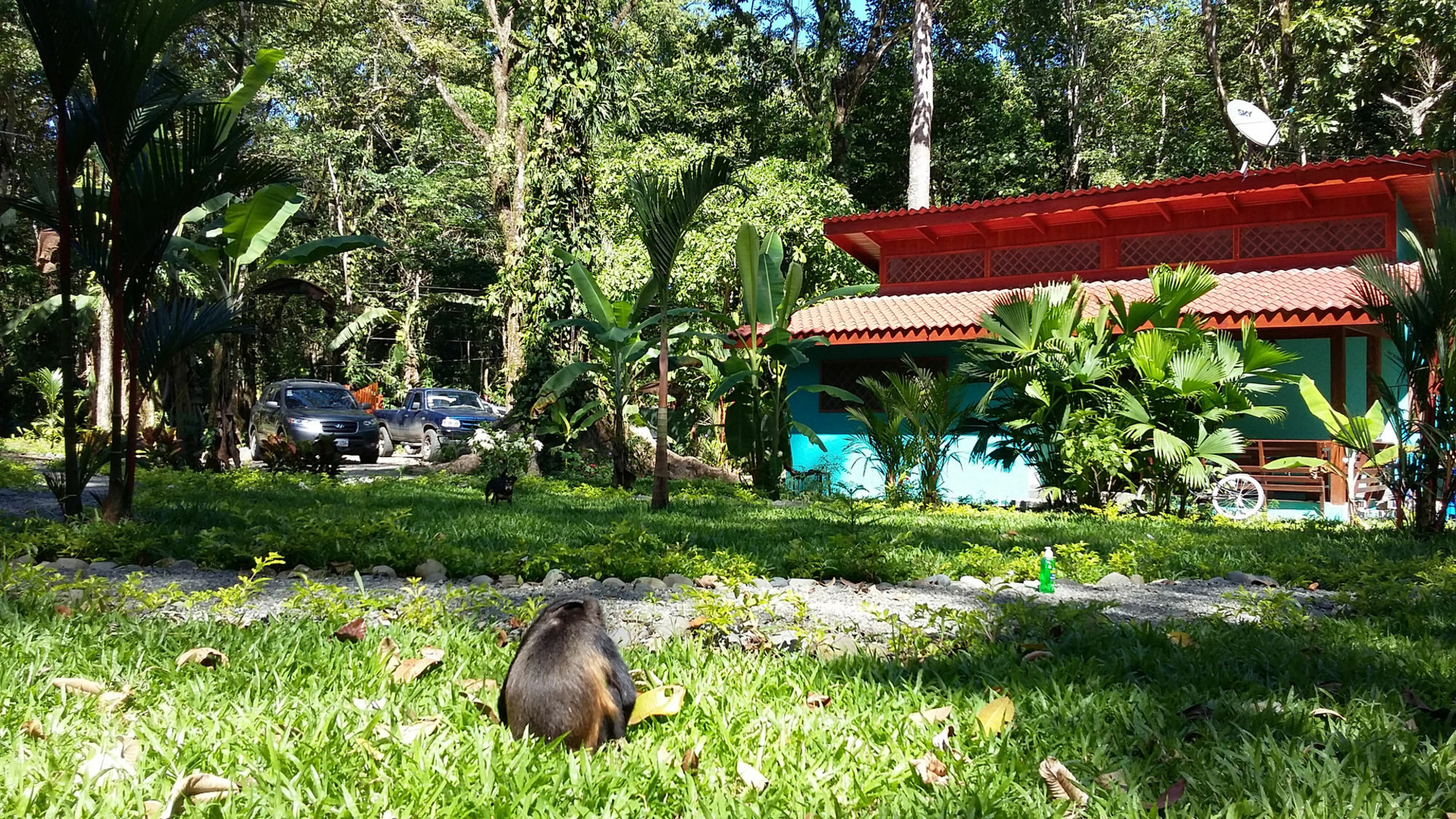 Villa Pina Dorada Dependencia Del Hotel Casa Merlin Puerto Viejo de Talamanca المظهر الخارجي الصورة