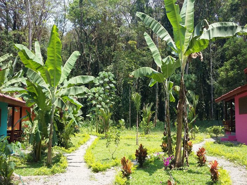 Villa Pina Dorada Dependencia Del Hotel Casa Merlin Puerto Viejo de Talamanca المظهر الخارجي الصورة